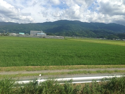 pemandangan sawah di kyushu