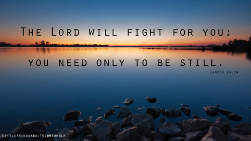 Bertahan atau terus jalan biar Tuhan yang berperang