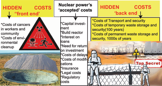 Biaya back end cost PLTN