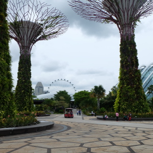 Supertree di Gardens by the Bay