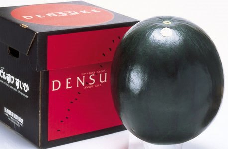 Semangka Densuke di Jepang