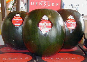 Semangka Densuke