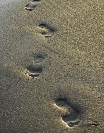 Footprints in the sand