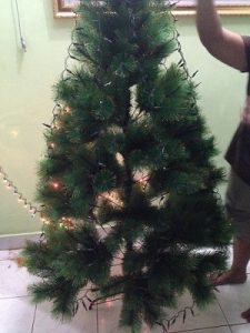 menyambut natal memasang pohon natal di rumah
