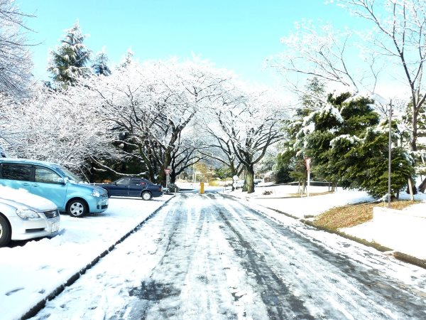 Salju di Jepang