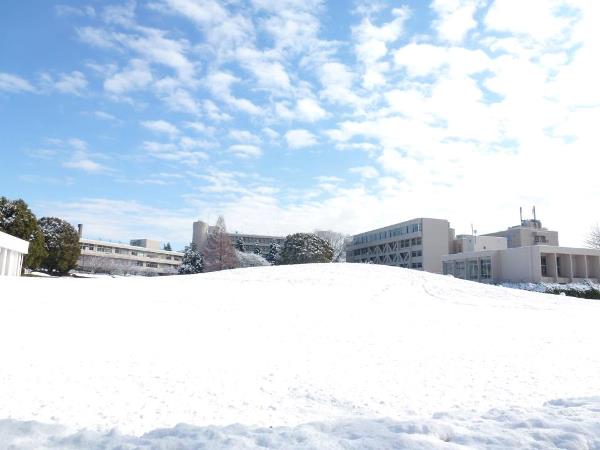 Salju di Jepang