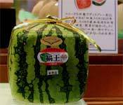 Semangka berbentuk kubus